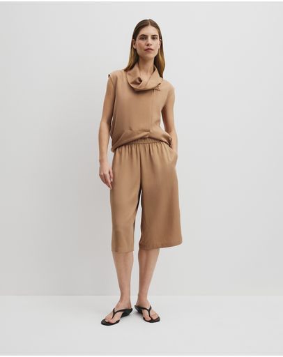 Camel