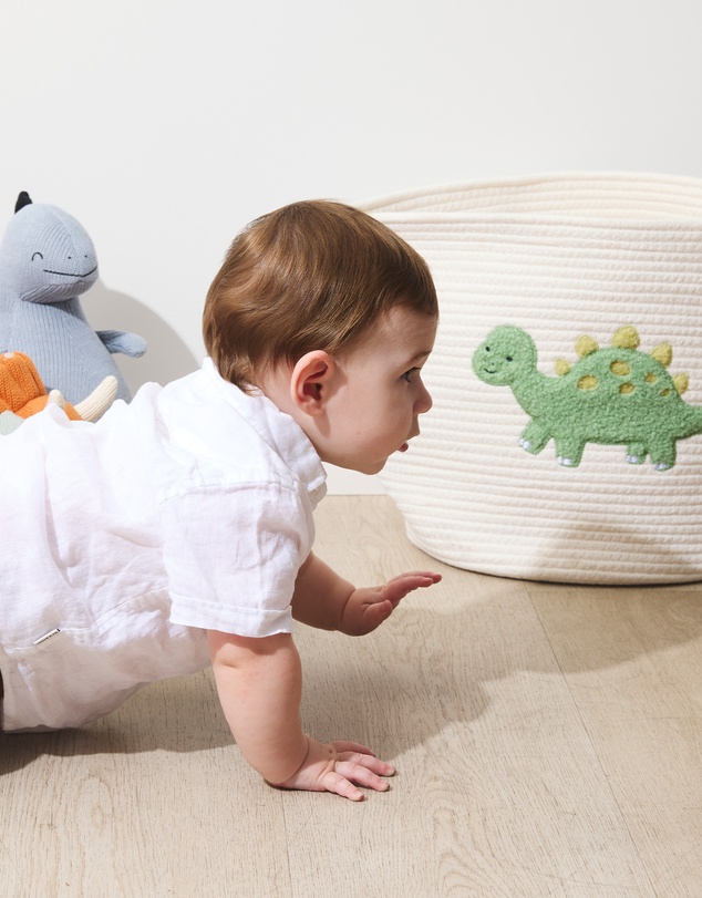 Living Textiles - Cotton Rope Embroidered Hampers - Dinosaur