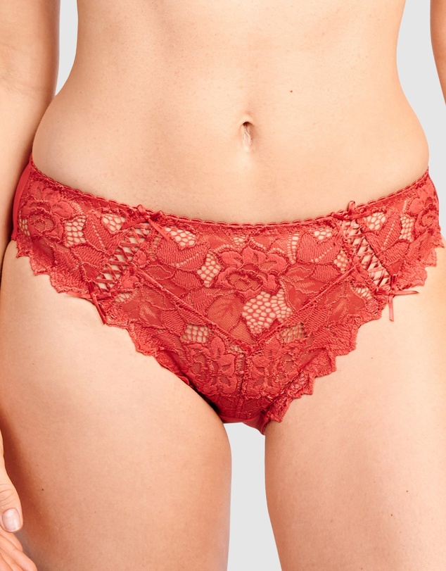 Sans Complexe - Arum Microfiber & Lace Hipster Brief