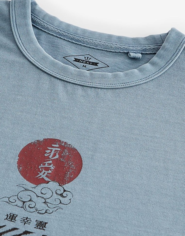 NEXT - Blue Garment Dye Tiger Back Print Graphic T-Shirt