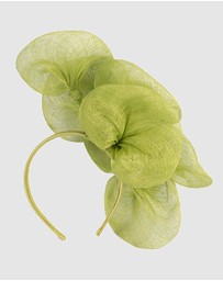 Max Alexander - Large Lilly Lime Flower Fascinator