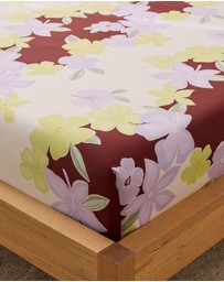Sheet Society - Eden Cotton Fitted Sheet Set