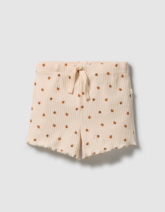 Wilson & Frenchy - Organic Shorts - Babies-Kids