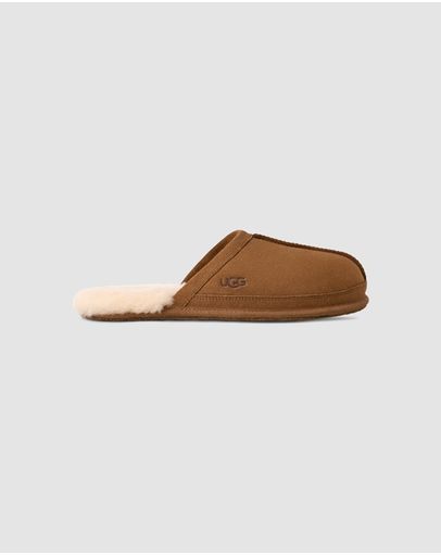Chestnut