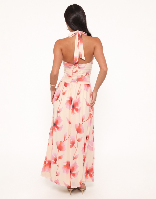 Petal & Pup - Kaira Halterneck Maxi Dress - Pink Floral