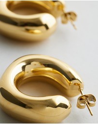 Native Sol - Sally Hoops