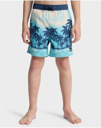 Quiksilver - Boys 8 to 16 Everyday Printed 14