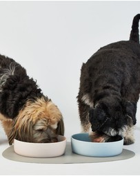 Lilly + Dash - Dog Eat and Drink Set – 2 Bowls + Lick Insert + Blue Placemat Set