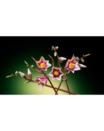 LEGO - Magnolia Branches