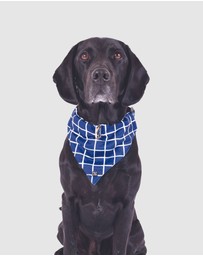Mog & Bone - Dog Bandana - Navy Check Print