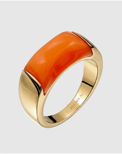 Elli Jewelry - Orange Resin Signet Ring in Gold-Plated 925 Silver