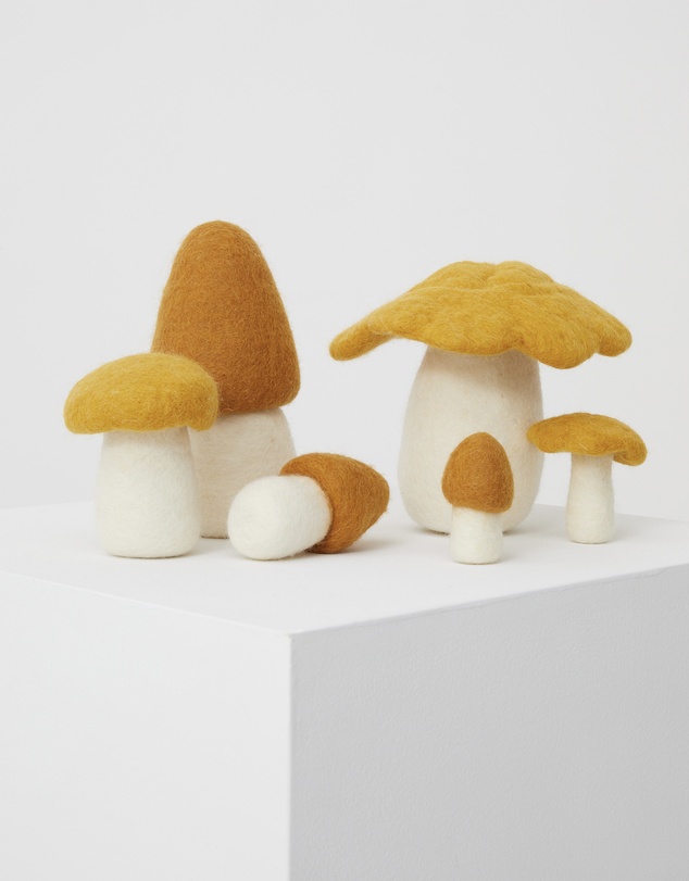 Phile - Crate of Mushrooms