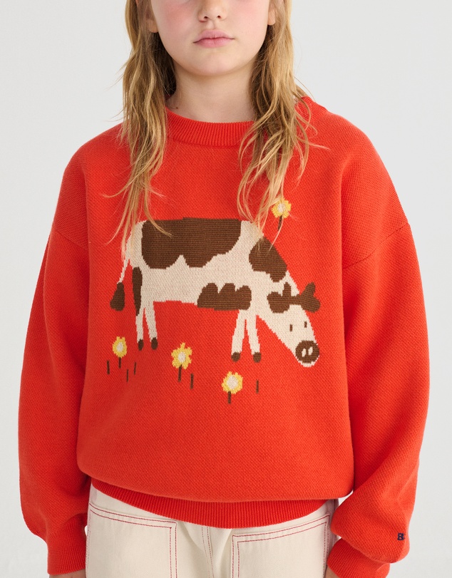 Bobo Choses - Farm Adventure Jumper - Kids-Teens