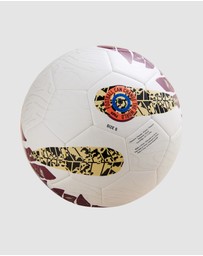 PARK - Vector Pro Training Football Ball