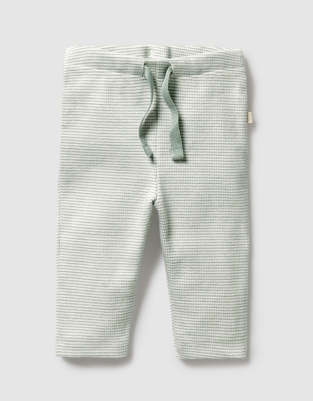 Wilson & Frenchy - Organic Stripe Rib Leggings - Babies