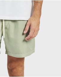 Academy Brand - Teamster Boardy