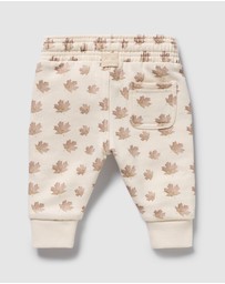 Wilson & Frenchy - Organic Terry Sweat Pants - Babies