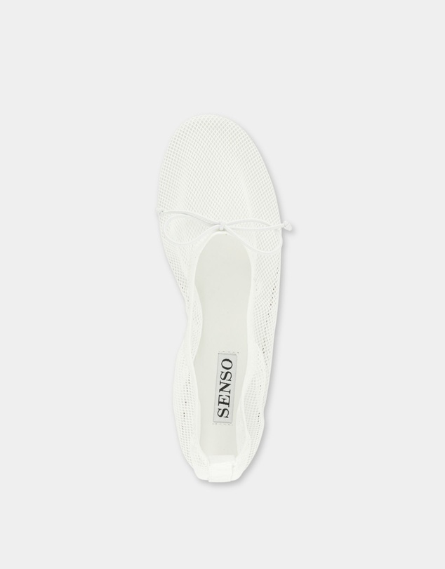 Senso - Carter