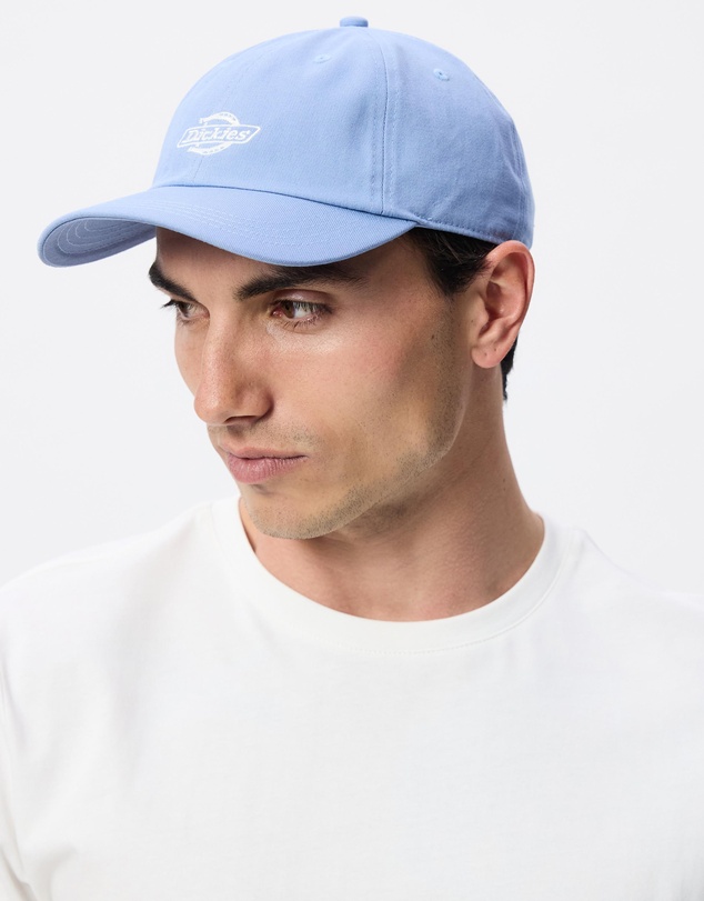 Dickies - Essential Dad Cap