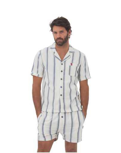 Navy Check