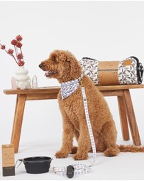 Mog & Bone - Multi-Function Hemp Dog Lead - Shadow Quartz