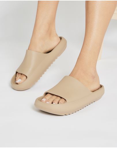TAUPE/TAUPE