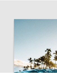 Olive et Oriel - Hawaii Dreamin Art Print