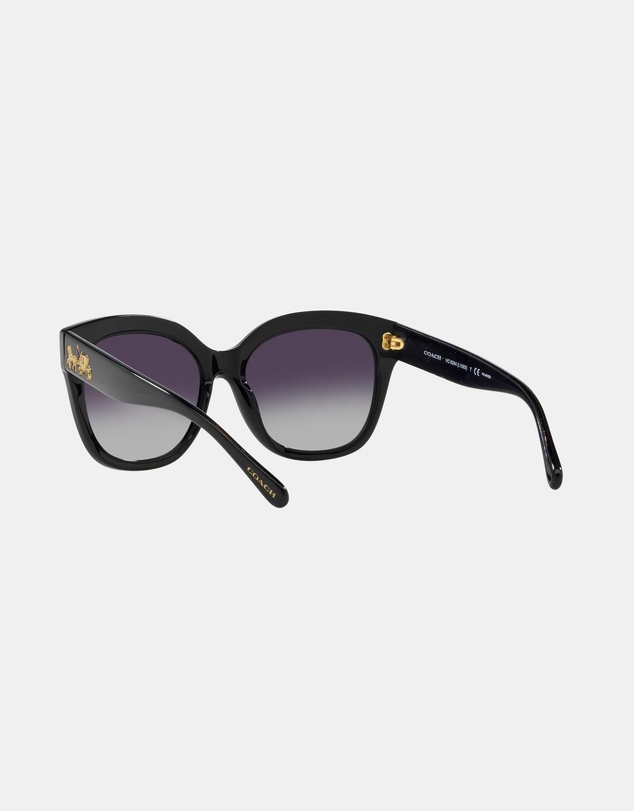 Coach - 0HC8264 L1083 Polarised