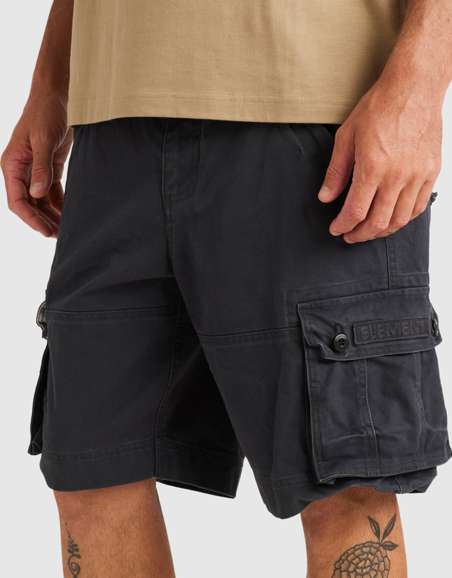 Element - Source Cargo Shorts