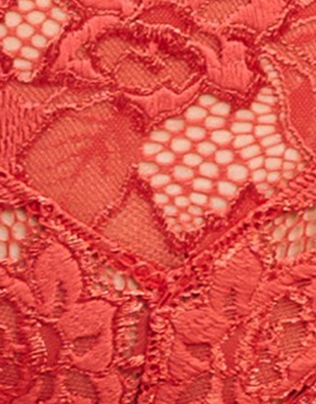 Sans Complexe - Arum Microfiber & Lace Hipster Brief
