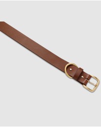 Status Anxiety - Disarm Belt