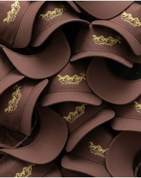 Zanerobe - Stallion Trucker Cap Choc-