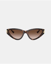 Jimmy Choo - 0JC5019