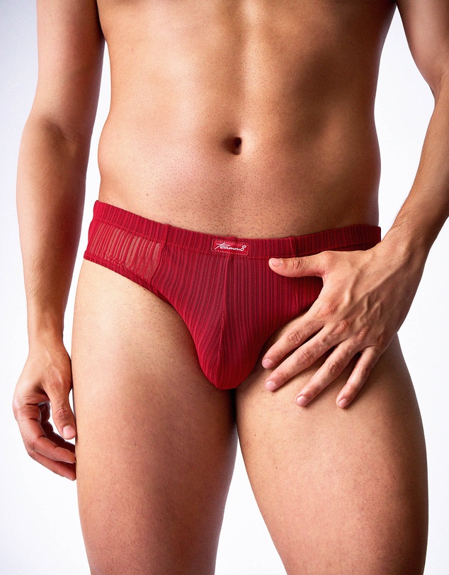 TEAMM8 - Romeo Sheer Bikini Brief