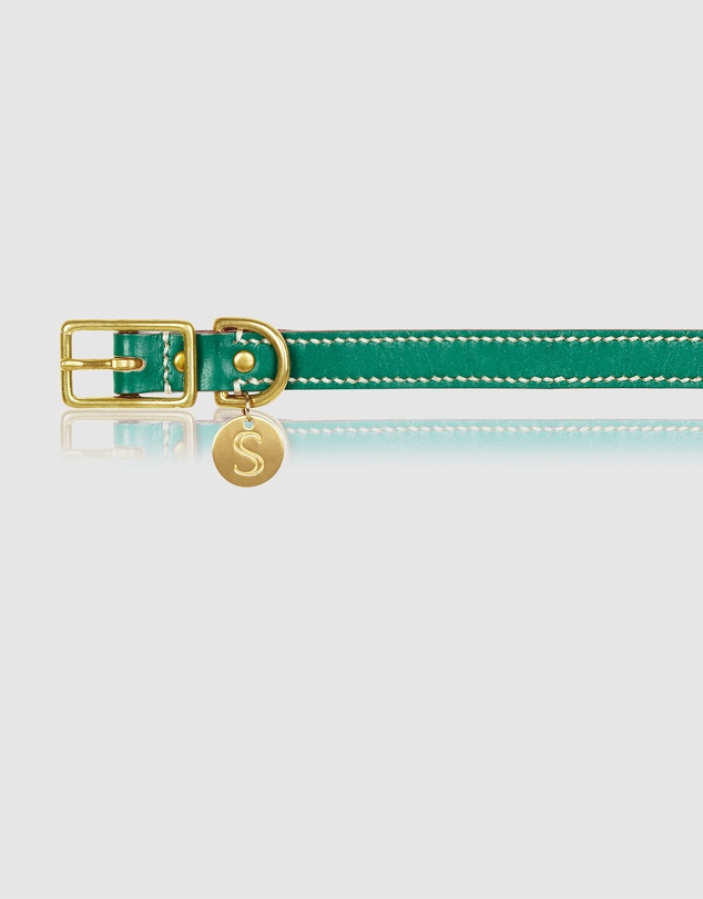 Sebastian Says - Leather Dog Collar