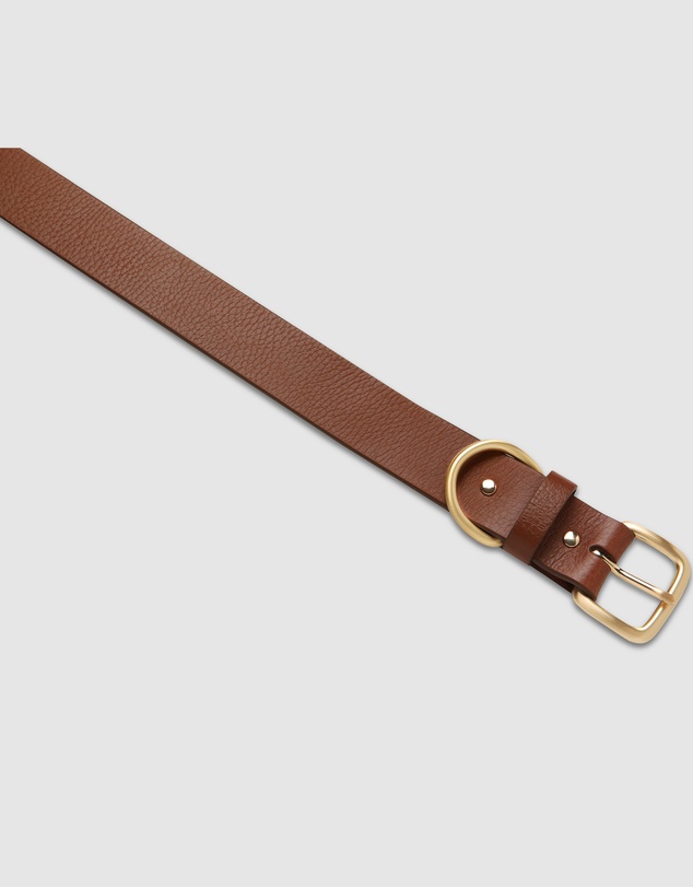 Status Anxiety - Disarm Belt