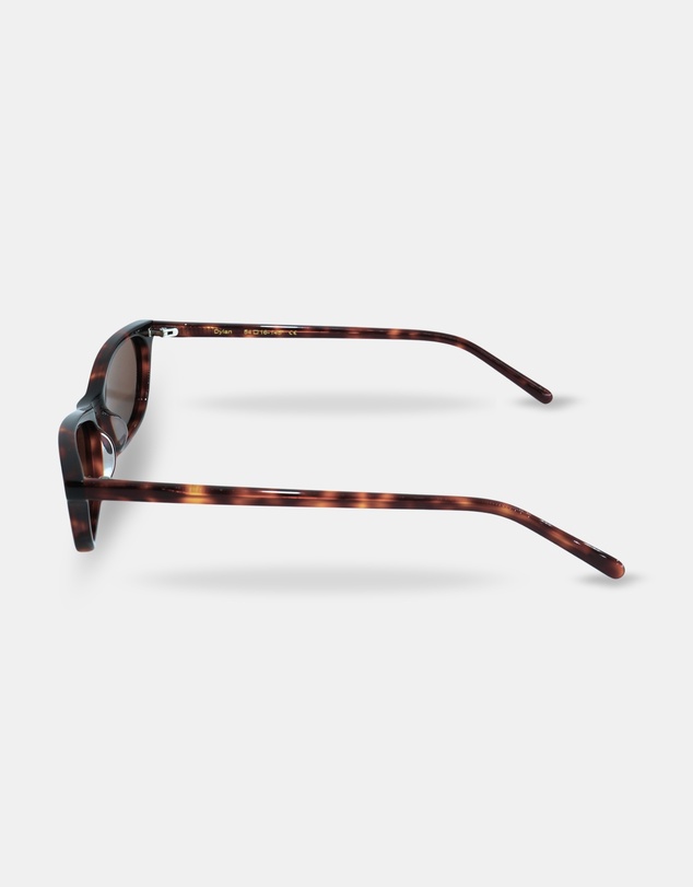 Salana - The Dylan Frame