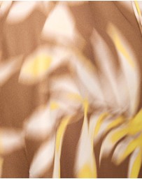 Dazie - Frangipani Halter Mini Dress