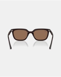 Ray-Ban - 0RB4439D