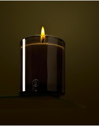 Black Blaze - Rainforest Sunlight Scented Candle