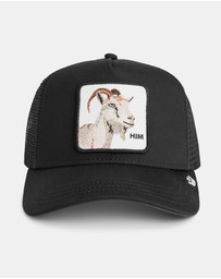 Goorin Bros. - Mirage HIM