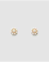 MIMCO - Emerge Stud Earrings
