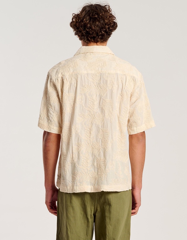Rolla's - Palm Bowler