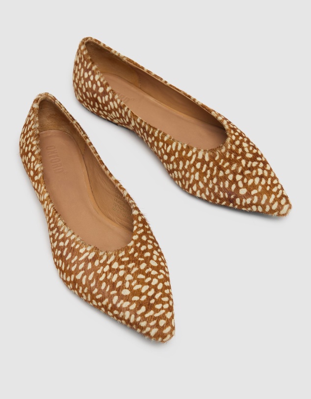 Oxford - Caolan Pointy Flat