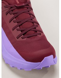 Arc'teryx - Norvan LD 4 Shoe Women's