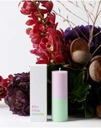 XRJ Celebrations - Pillar Two-Tone Tulip Candle