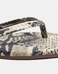 Tkees - Lily Square Toe Exotics