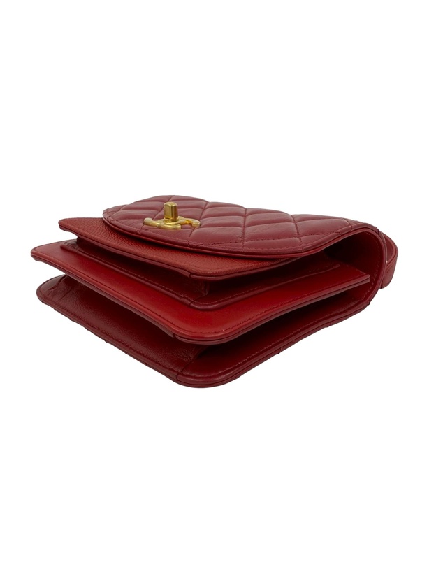 Pre-Loved by Azura Reborn - Pre-Loved Mini Quilted Calfskin and Caviar Chain Handle Flap