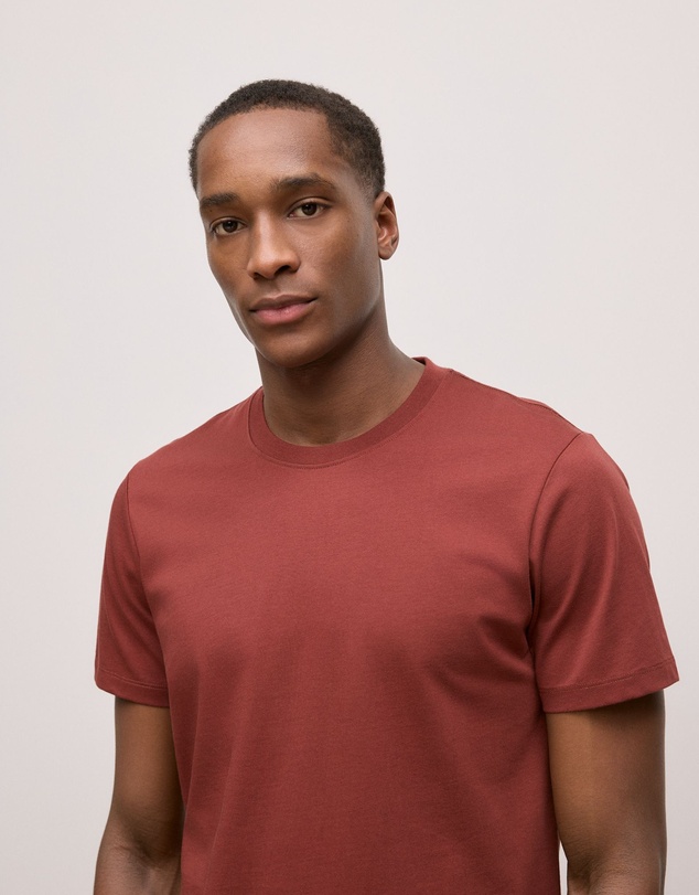 Trenery - Cotton Jersey Crew T-shirt in Auburn