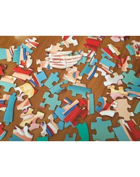 Sassi - Travel Learn Explore The Body Puzzle
